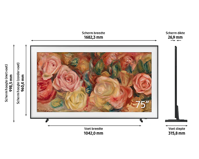 Samsung QE43LS03DAUXXN Smart Televisie met Frame Design