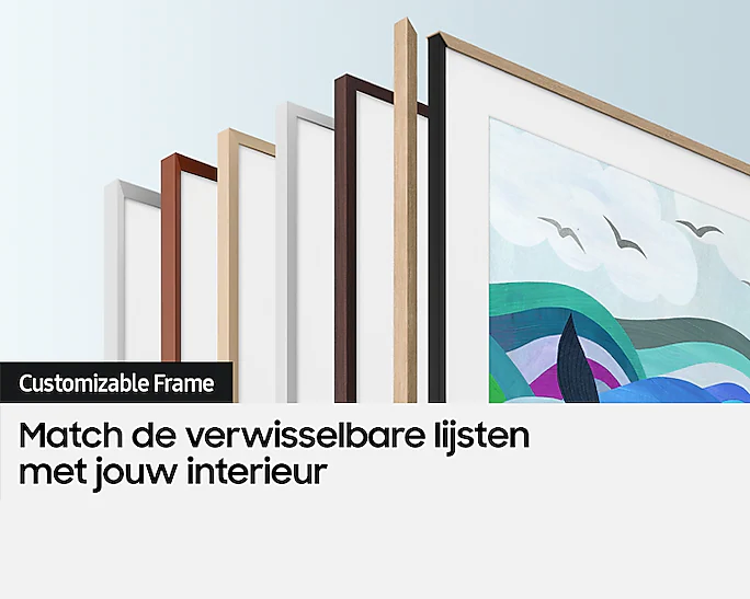 Samsung QE43LS03DAUXXN Smart Televisie met Frame Design