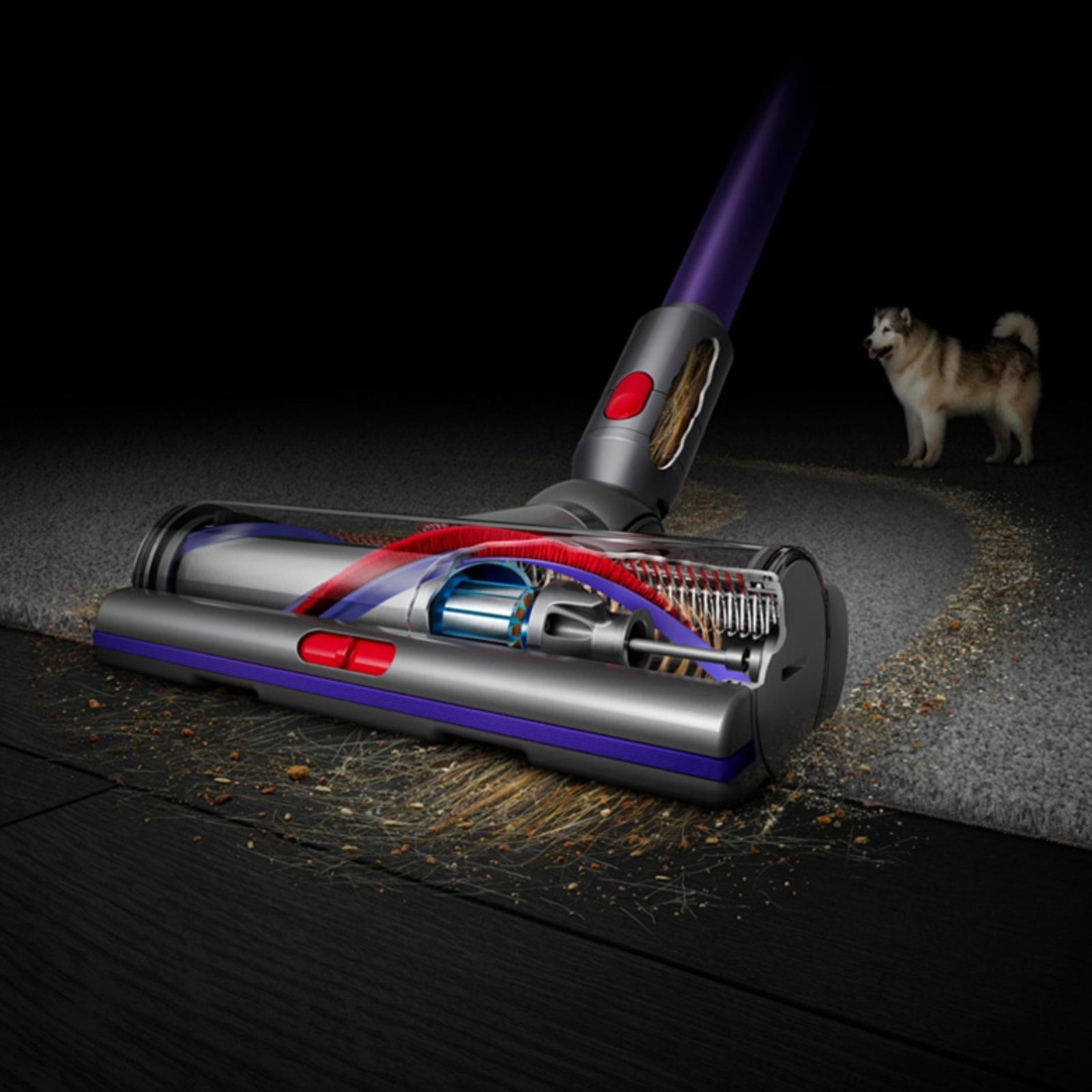 Dyson Gen5 Detect Absolute steelstofzuiger
