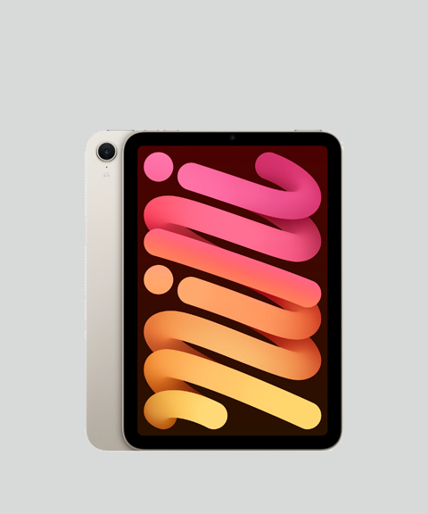 iPad Mini Wifi + Cellular